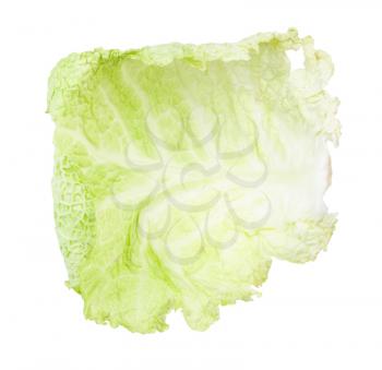 fresh leaf of savoy cabbage vegetable isolated on white background