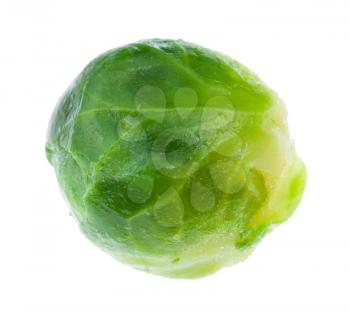 wet green ripe brussels sprout isolated on white background
