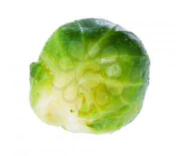 single wet ripe brussels sprout isolated on white background