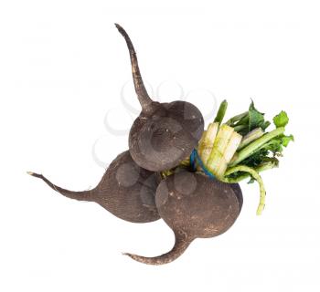 bundle of little black radish taproots with green foliage isolated on white background