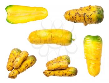 set of several organic uzbek yellow carrots isolated on white background