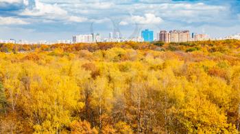 panoramic view of yellow city park on sunny autumn day
