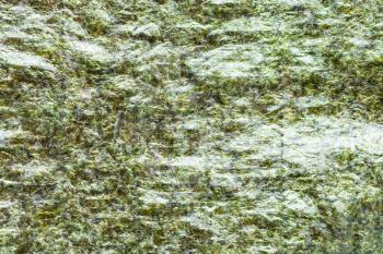 food background - surface of dried sheet Nori of seaweed used in Japanese cuisine for sushi