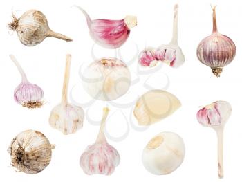 collage from various bulbs and cloves of garlic isolated on white background
