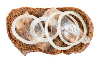 top view of open sandwich with rye bread and pickled herring decorated of onion rings isolated on white background