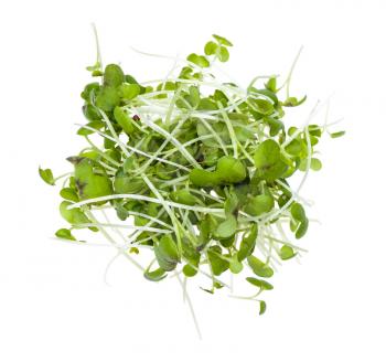 top view of pile from twigs of fresh green mustard cress plant isolated on white background