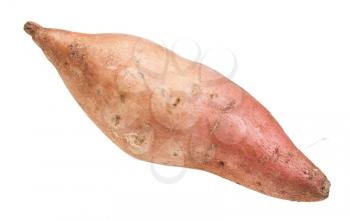 fresh sweet potato (ipomoea batatas, batata) isolated on white background