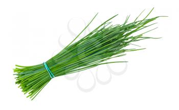 bunch of fresh Chives herbs isolated on white background