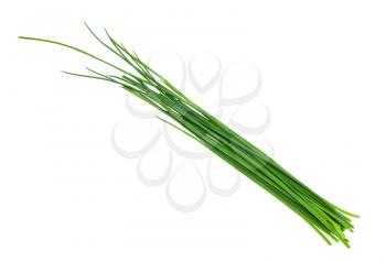 several fresh leaves of Chives isolated on white background