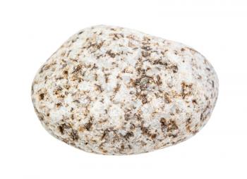 closeup of sample of natural mineral from geological collection - white Granite pebble isolated on white background