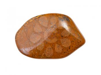 closeup of sample of natural mineral from geological collection - brown Tiger's eye gemstone isolated on white background