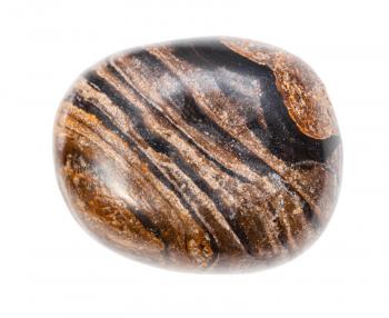 closeup of sample of natural mineral from geological collection - polished Stromatolite rock isolated on white background