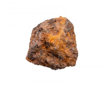 closeup of sample of natural mineral from geological collection - unpolished Limonite ( brown iron ore) rock isolated on white background
