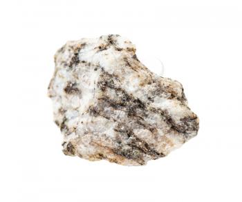 closeup of sample of natural mineral from geological collection - unpolished gneiss rock isolated on white background
