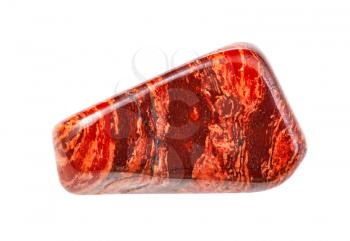 closeup of sample of natural mineral from geological collection - red brecciated jasper gem stone isolated on white background