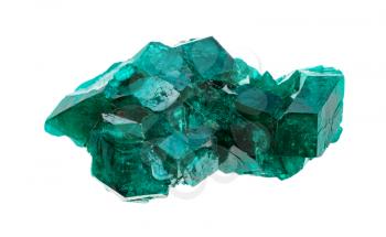 closeup of sample of natural mineral from geological collection - rough emerald-green Dioptase crystals isolated on white background