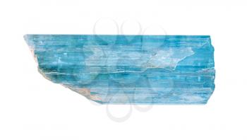 closeup of sample of natural mineral from geological collection - single crystal of Aquamarine (blue Beryl) isolated on white background