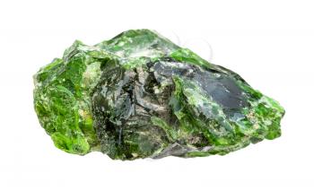 closeup of sample of natural mineral from geological collection - rough Chromian diopside (Chrome-Diopside, Siberian Emerald, green diopside) rock isolated on white background