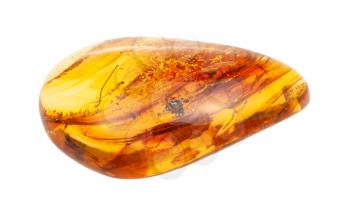 closeup of sample of natural mineral from geological collection - polished Amber gem stone with inclusions isolated on white background