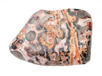 closeup of sample of natural mineral from geological collection - polished Leopard skin jasper (Jaguar Stone) gemstone isolated on white background