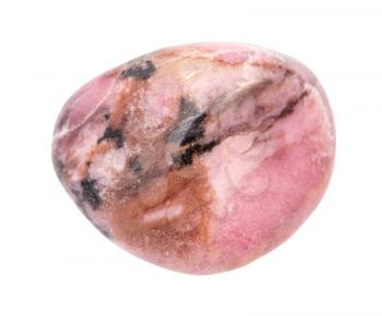 closeup of sample of natural mineral from geological collection - rolled Rhodonite gem isolated on white background