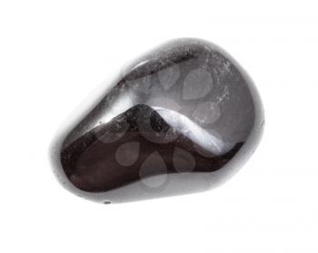 closeup of sample of natural mineral from geological collection - polished Obsidian (volcanic glass) gemstone isolated on white background