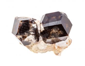 closeup of sample of natural mineral from geological collection - Andradite garnet crystals isolated on white background