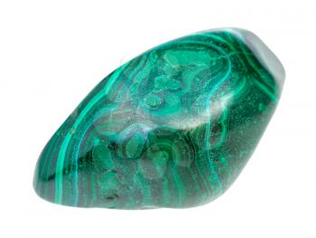 closeup of sample of natural mineral from geological collection - rolled Malachite gemstone isolated on white background