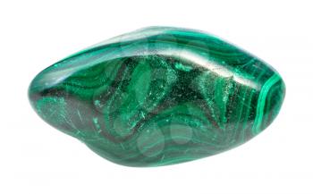 closeup of sample of natural mineral from geological collection - rolled Malachite gem stone isolated on white background