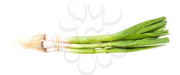 bundle of green young spring garlic isolated on white background