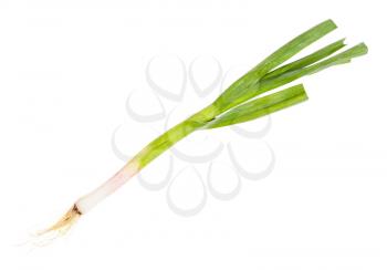 green young spring garlic with roots isolated on white background