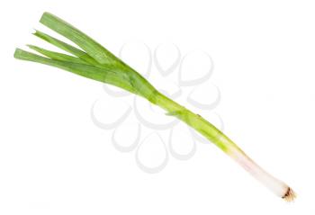 green young spring garlic isolated on white background