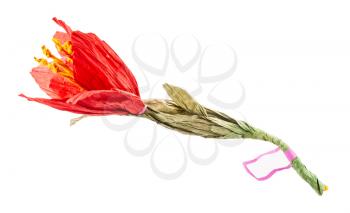 handmade artificial red flower made of crepe paper with blanl label isolated on white background