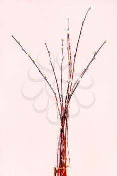 vertical pussy willow sunday (palm sunday) feast still-life - downy pussy-willow twigs in glass vase on pink pastel background