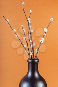 vertical pussy willow sunday (palm sunday) feast still-life - flowering pussy-willow twigs in ceramic bottle on orange brown pastel background