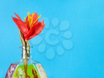 handmade artificial paper red flower in handpainted glass brandy bottle on blue pastel background