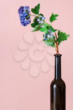 artificial flower in brown glass bottle on pink pastel color background