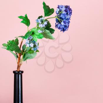 artificial flower in wine bottle on pink pastel color square background with copyspace