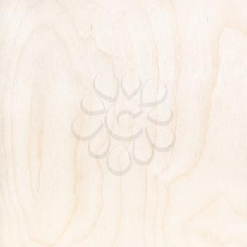 square wooden background - surface of natural birch plywood