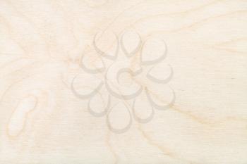 wooden background - surface of natural birch plywood