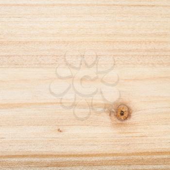 square wooden background - unpainted pine plank with natural wood pattern and knot close up