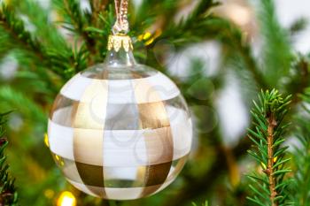 striped glass ball on natural christmas tree close-up indoor