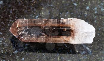 closeup of sample of natural mineral from geological collection - rough crystal of Smoky Quartz on black granite background from Pelinguichy, Inta, Komi, Russia