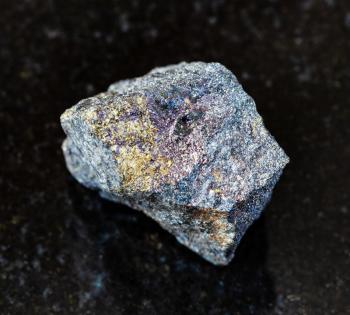 closeup of sample of natural mineral from geological collection - unpolished Bornite with Chalcopyrite rock on black granite background from Azerbaijan