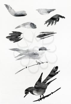 sheet of paper with sketches of birds and wings hand-drawn by black ink in sumi-e (suibokuga) style