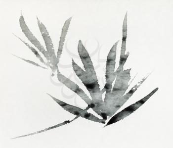 sketches of foliage hand-drawn by black ink on old textured paper in sumi-e (suibokuga) style