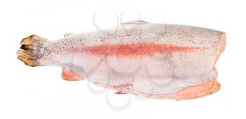 deepfrozen gutted and headless rainbow trout red fish isolated on white background