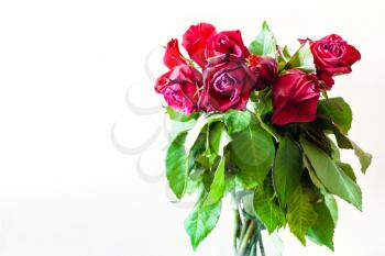 side view of bouquet of wilted red rose flowers on pale brown background with copyspace