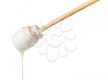 side view of natural organic white honey pouring from wooden stick close up isolated on white background
