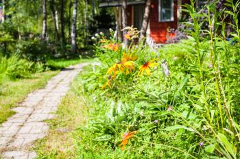 flower bed and path to cottage in green ornamental garden in Russia on sunny summer day
